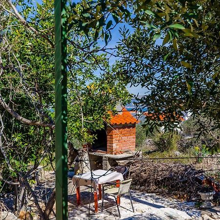 Apartments Stara Maslina سلاتين المظهر الخارجي الصورة